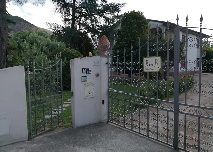  Oasi